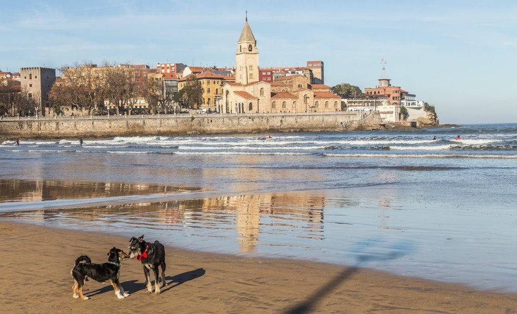 Amor perruno ante las vistazas de la Playa de San Lorenzo (Gijón). Foto: Micaela de la Maza.