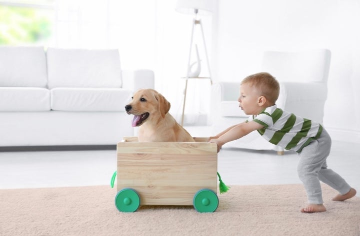 Aprovecha estos días para pasar más tiempo en familia. Foto: Shutterstock.