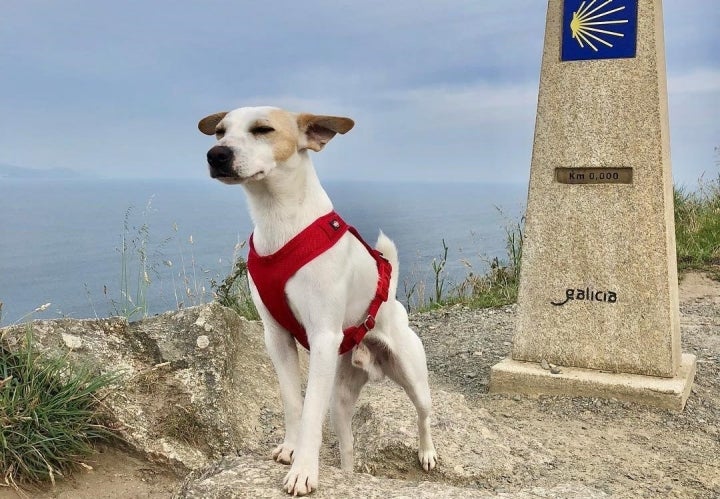 En Finisterre como un peregrino más. Foto: Instagram Pipper.