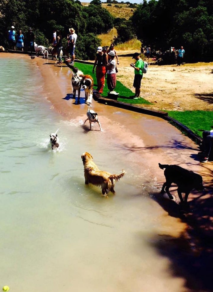 Piscinas para ir con perro, Guía Repsol