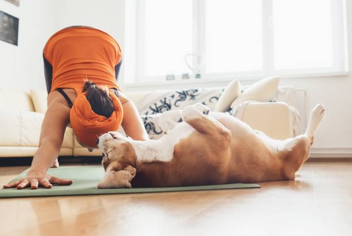 Relax en equipo practicando 'doga'. Foto: Shutterstock.