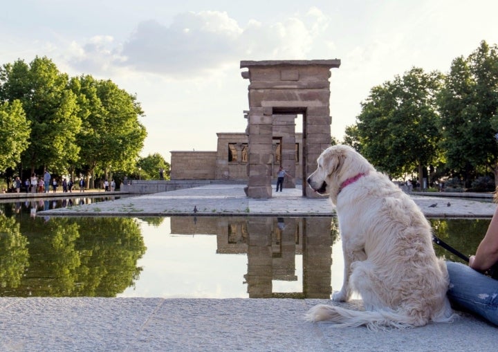 Una parada en el Templo de Debod durante una ruta cultural por el centro de Madrid. Foto: Shutterstock