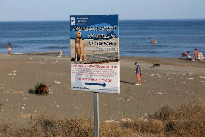 Señal indicativa Playas caninas