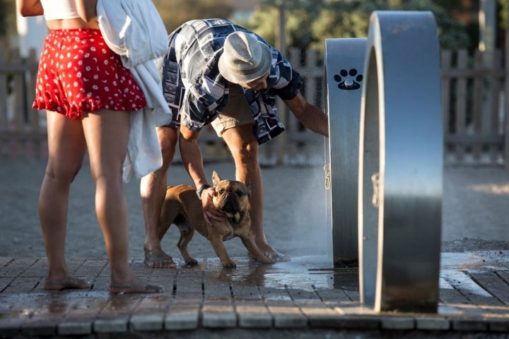 Ducha Playas caninas