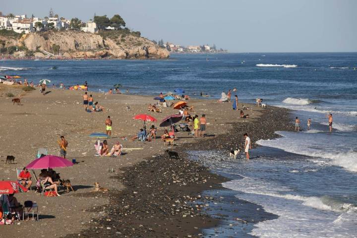 Playas caninas Málaga