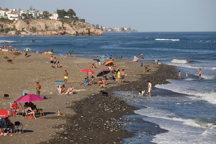 Playas caninas Málaga