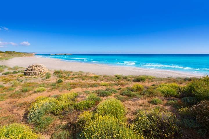 Playas para perros en el Mediterráneo Menorca Binigaus