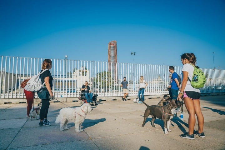 Planificando la ruta cerca de la Torre Pelli.