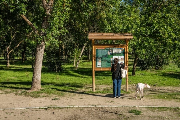 Ruta con perro por la Casa de Campo de Madrid