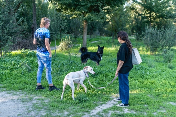 Ruta con perro por la Casa de Campo de Madrid