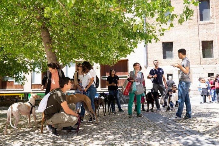 La sombra de los árboles del barrio son un refugio perfecto para atender las explicaciones.