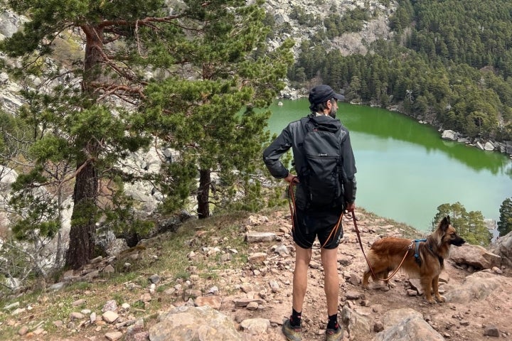 Laguna Negra perro