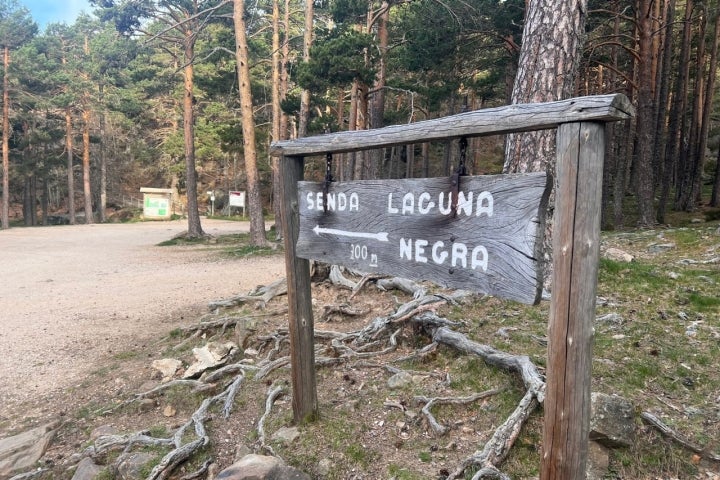 Laguna Negra perro