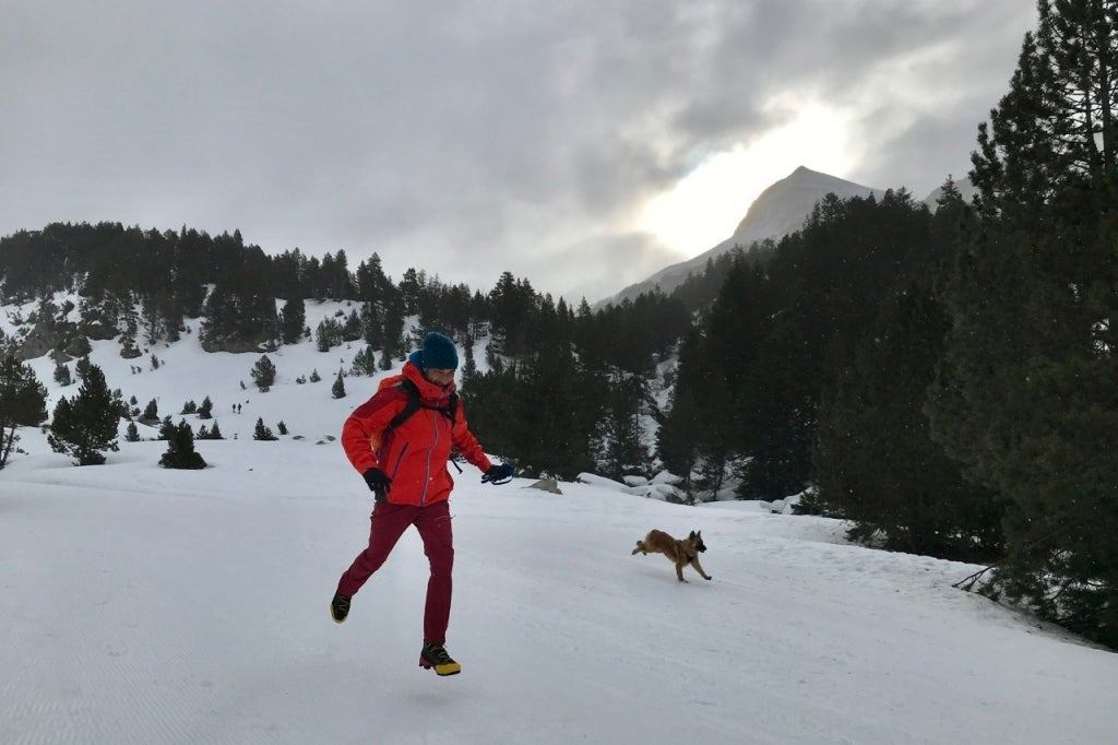 Cruzando la nieve pirenaica con tu mascota Cruzando la nieve pirenaica con tu mascota