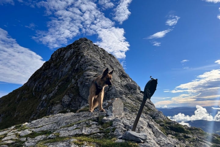 Subida al monte Anboto perro en precima