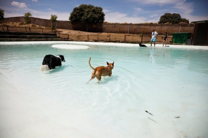 Piscinas para ir con perro, Guía Repsol