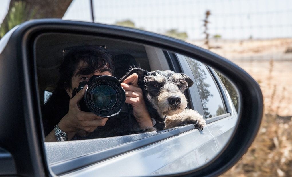 Micaela con Colega de viaje. Foto: SrPerro.com.