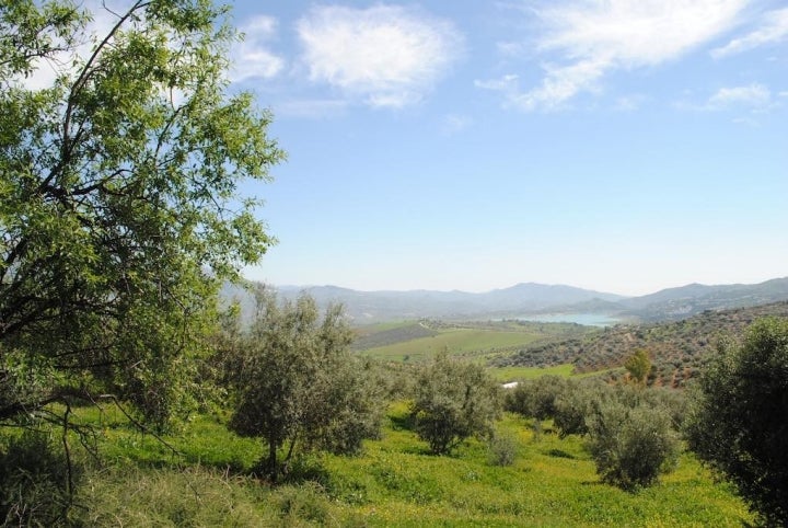 Paisaje axárquico con la laguna de La Viñuela al fondo.