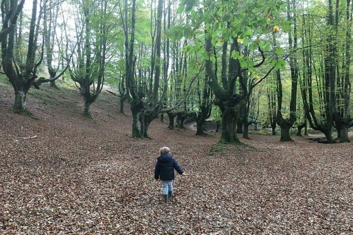 Carros cíngaros: El alojamiento está cerca del Parque Natural de Gorbea.