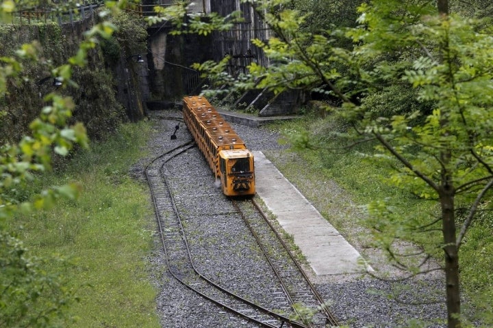 El tren atraviesa un bosque de sauces, alisos, saucos y castaños.