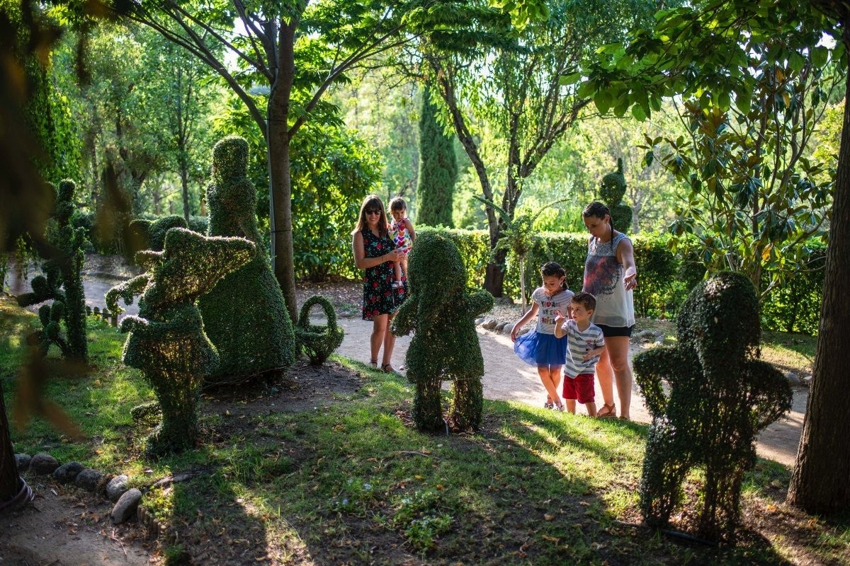 Un bosque recortado por las hadas