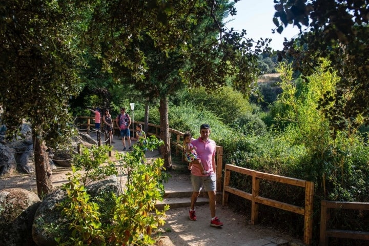 El bosque cuenta con más de 300 esculturas vegetales.