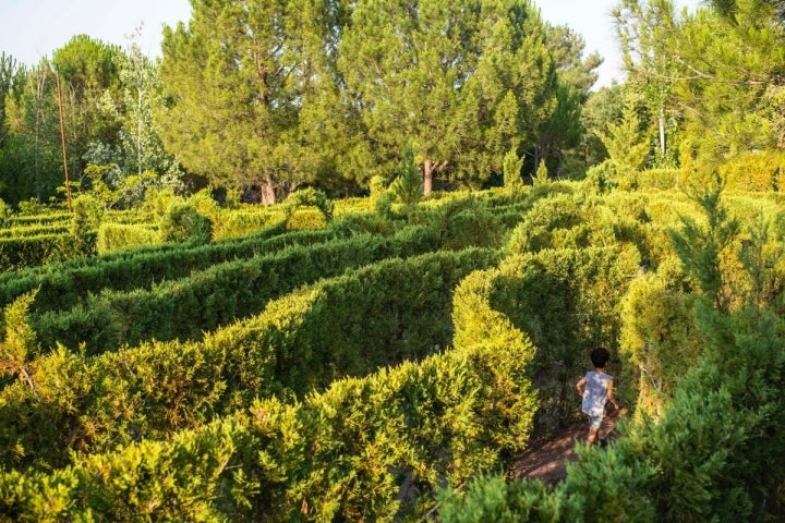 Un laberinto vegetal promete un divertido juego donde no siempre es fácil encontrar la salida.