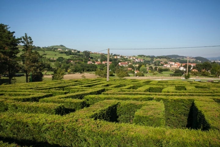 Comprar Dentro del Laberinto Barato