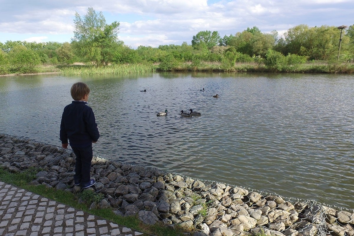 Señor pato, señora cierva, les presento a mis niños