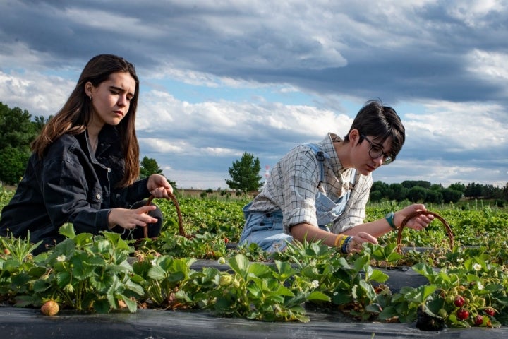 La finca se encuentra en plena Vega del Jarama, a 19 kilómetros de Madrid.