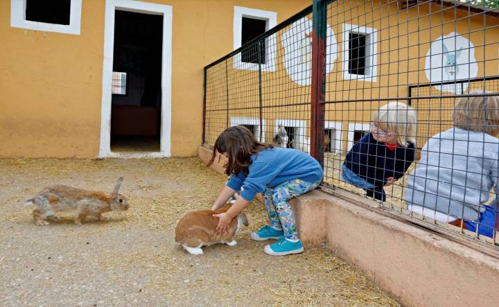 Los niños cogen con delicadeza a los pequeños conejos.