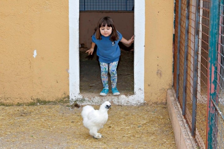 Niños de unos tres años interactúan con las diferentes especies de la granja.