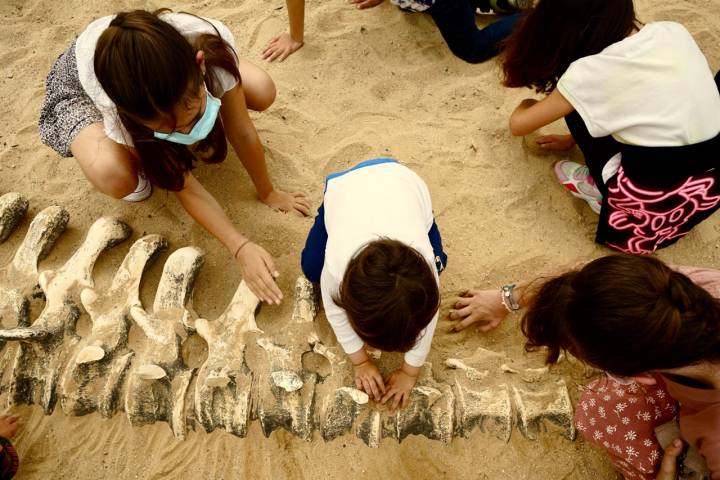 Costa jurásica de Asturias niños desenterrando huesos