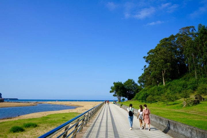 Playa La Griega Asturias