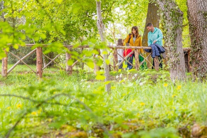 El Monasterio de Piedra es hogar de más de 20 aves distintas, pero también de nutrias y garduñas que se cobijan en su vegetación.