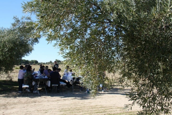 Un domingo de picnic es la vida mejor. Foto: J.S.