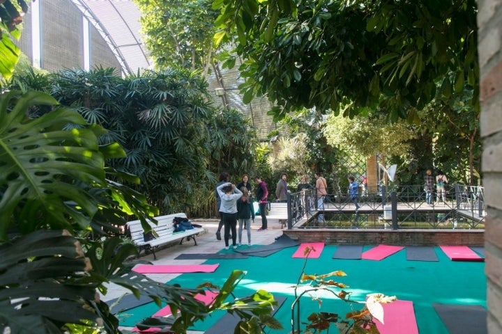 Actividades al aire libre (cuando el tiempo lo permite).