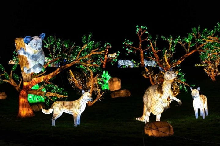 Más 30 escenas temáticas de diferentes ecosistemas, como la sabana y el océano llenas de luz. Foto: Brilla Zoo