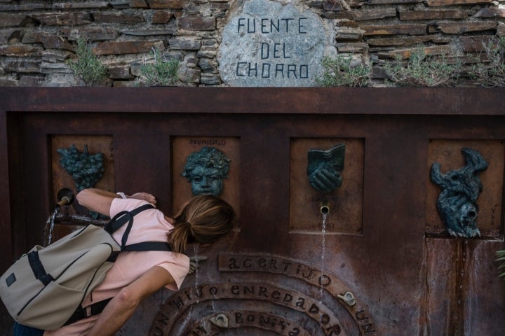 Fuente del vino