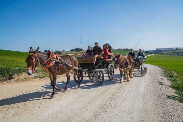 Los carros tirados por una mula y un caballo percherón, a la cola de la cabalgata.