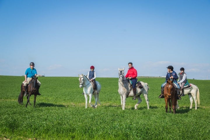 Álvaro y Blanquito; Claudia y Rociero; Diego y Rociero II; Diego Martínez hijo con Bandolero y Andrea sobre Quintanilla.