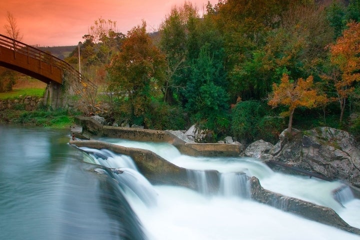 Puentes y agua para gozar del día al aire libre