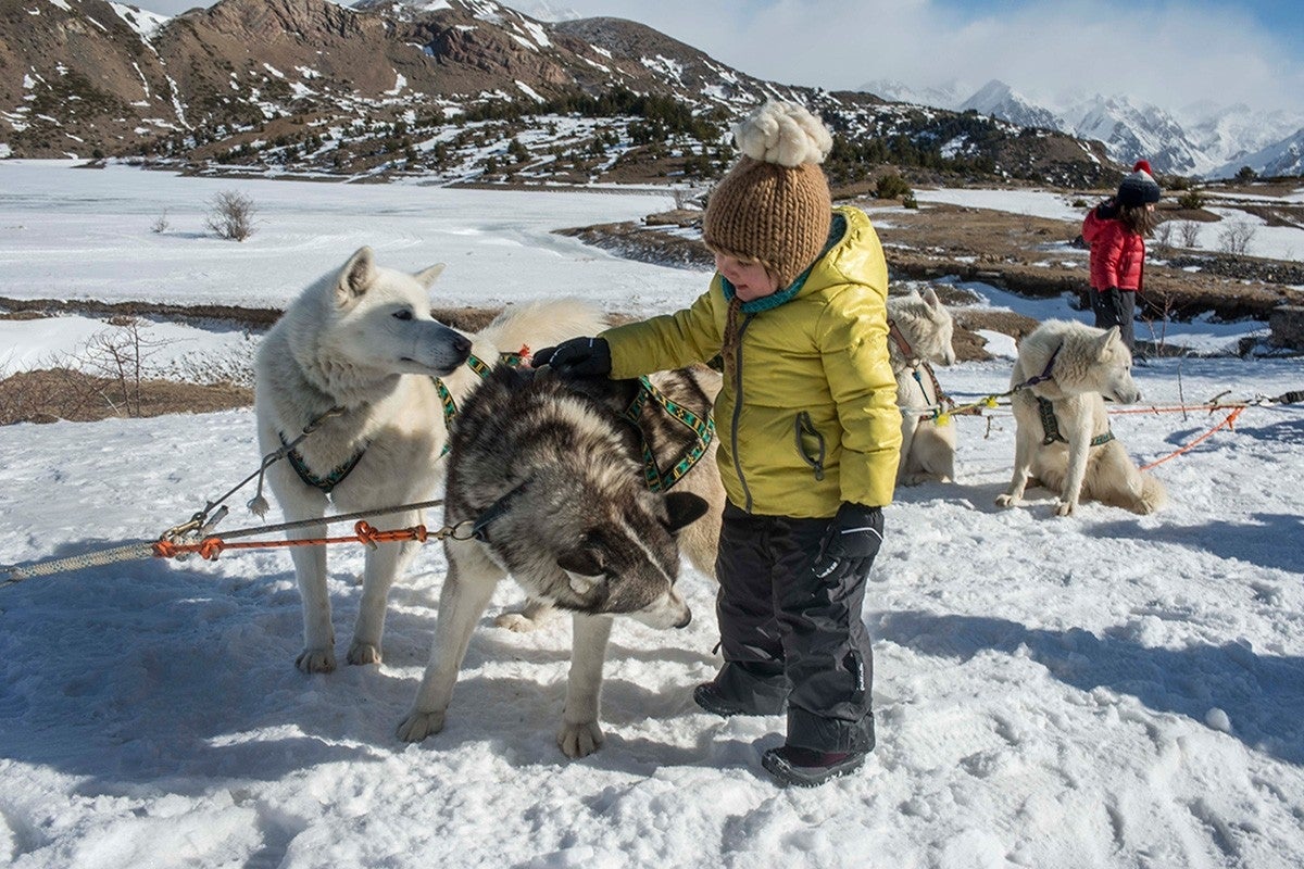 Déjate llevar por huskies y alaskas