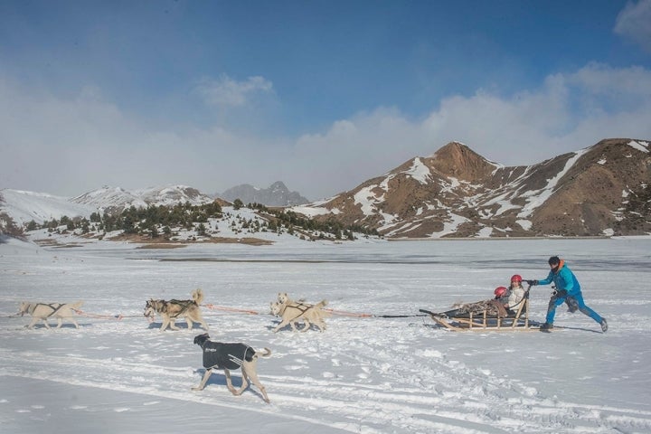 ❄️ Practica el Trineo tirado por Perros en Huesca ❄️ Mushing