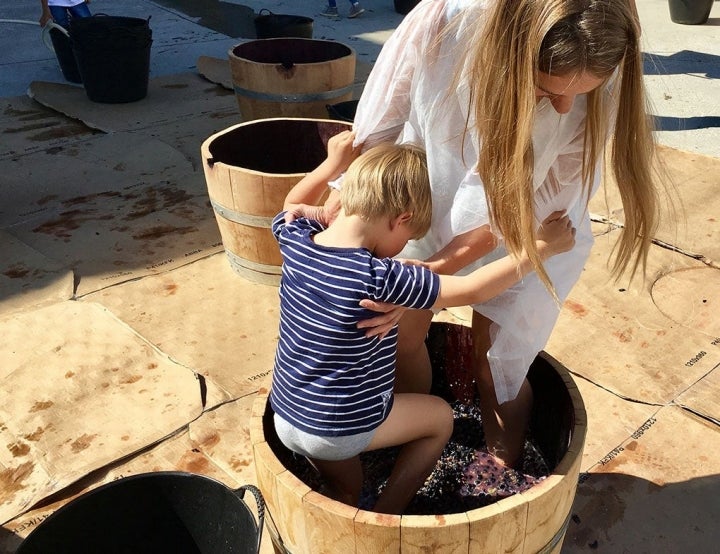 Padres e hijos comparten la pisada de la uva.