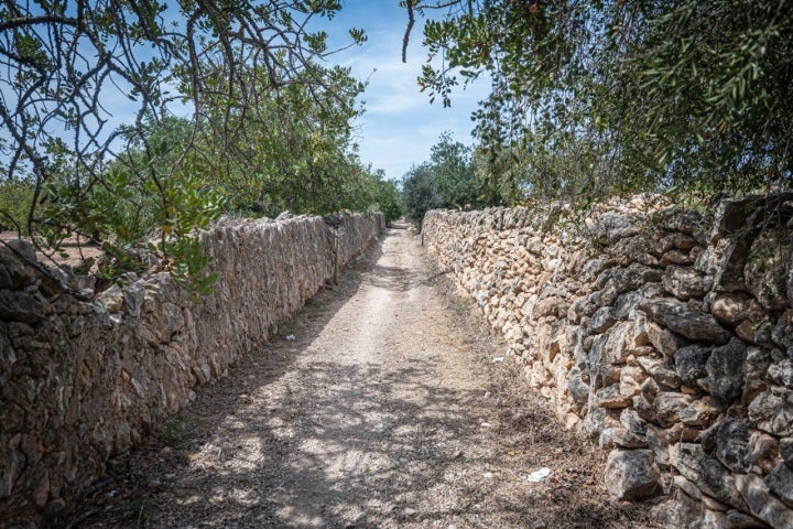 El Vendrell 29/04/23 Visita guiada a la bodega Avgvstvs Forvm. Así como también comida en el espacio gastronomico.AUTOR: MANU MITRU