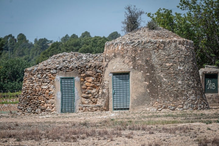 El Vendrell 29/04/23 Visita guiada a la bodega Avgvstvs Forvm. Así como también comida en el espacio gastronomico.AUTOR: MANU MITRU