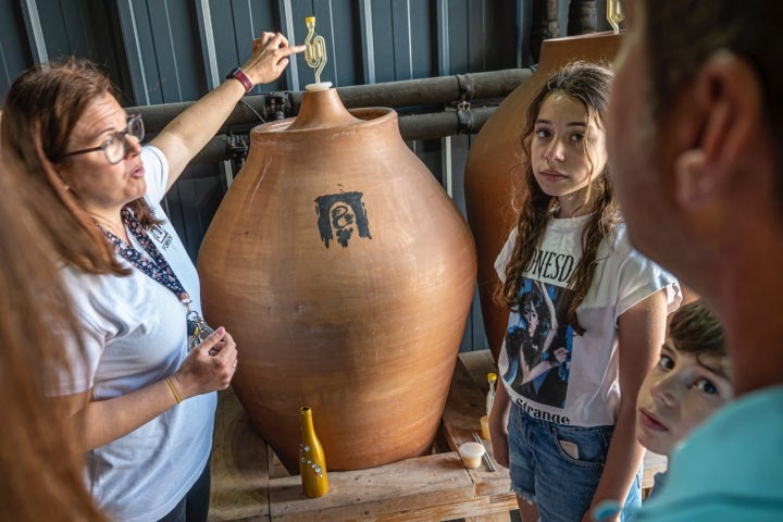 El Vendrell 29/04/23 Visita guiada a la bodega Avgvstvs Forvm. Así como también comida en el espacio gastronomico.AUTOR: MANU MITRU