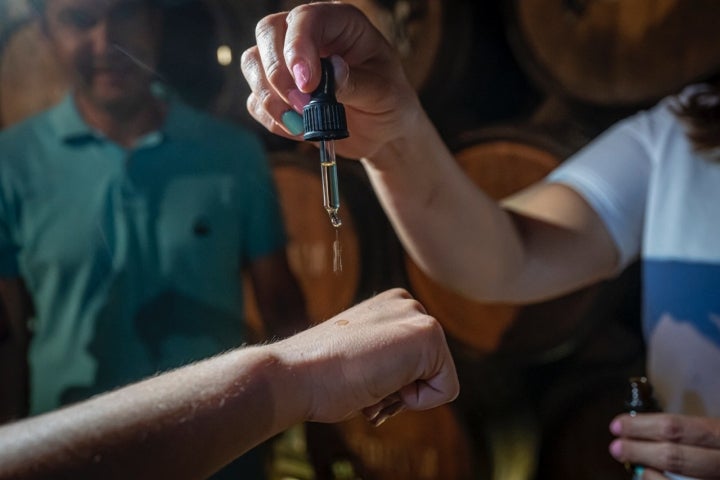 El Vendrell 29/04/23 Visita guiada a la bodega Avgvstvs Forvm. Así como también comida en el espacio gastronomico.AUTOR: MANU MITRU