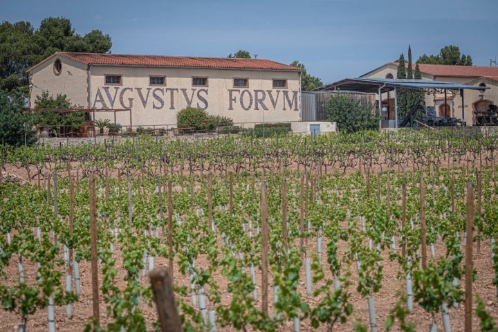 El Vendrell 29/04/23 Visita guiada a la bodega Avgvstvs Forvm. Así como también comida en el espacio gastronomico.AUTOR: MANU MITRU